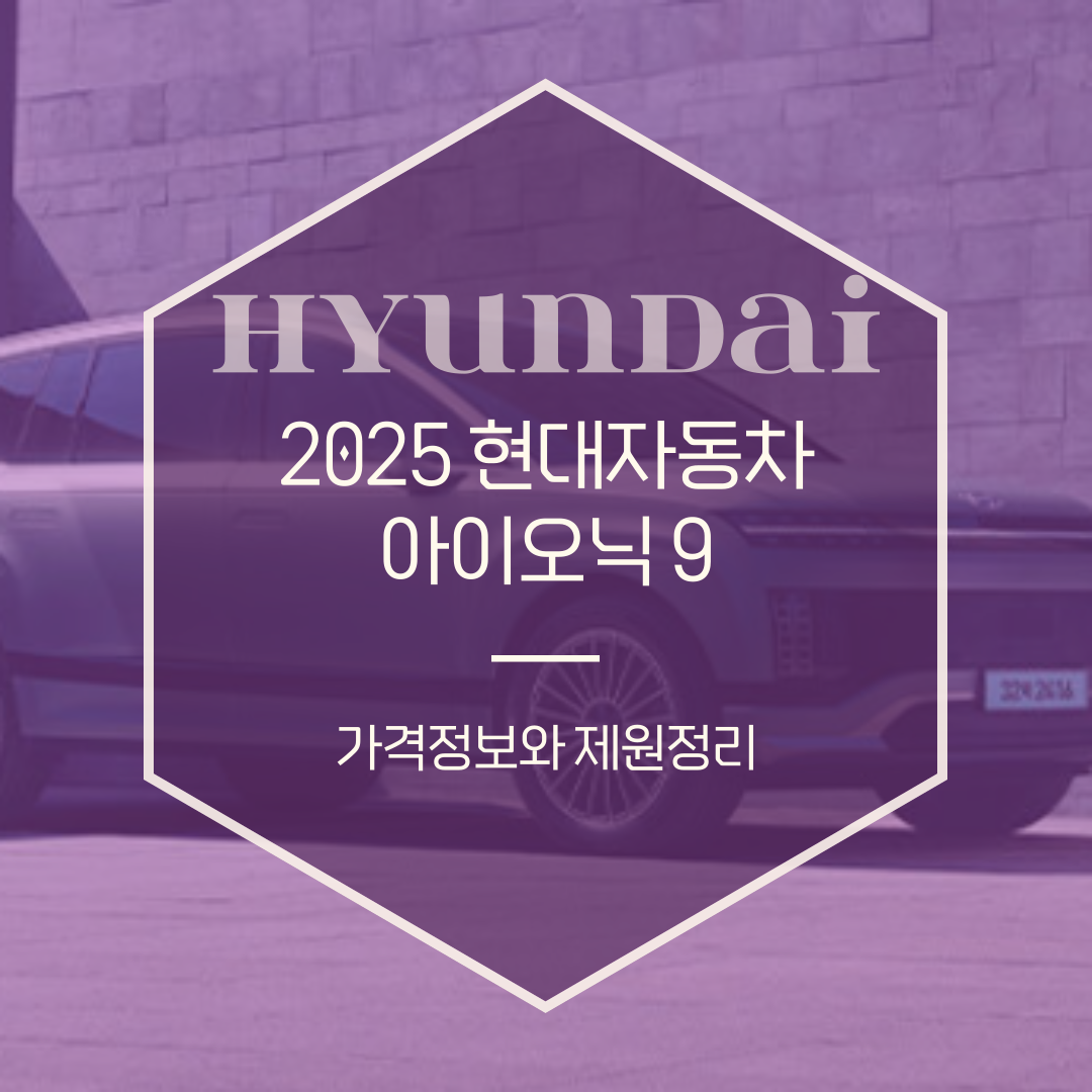 2025 아이오닉 9 제원정보와 보조금과 가격표